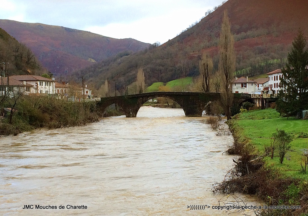 photo-crue-grande-nive-pays-basque-30janvier2015-002