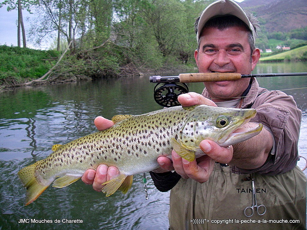 truite-45cm-22avril2015