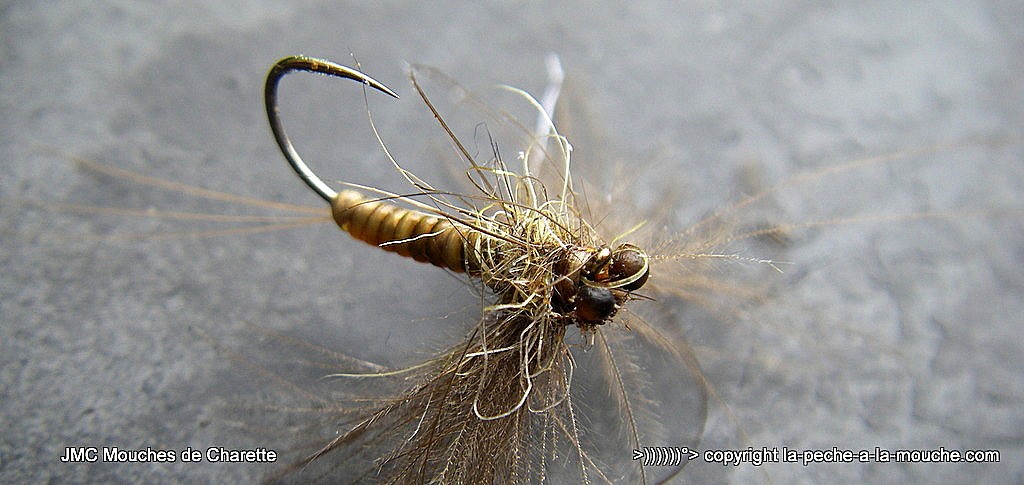 montage-march-brown-2015-005