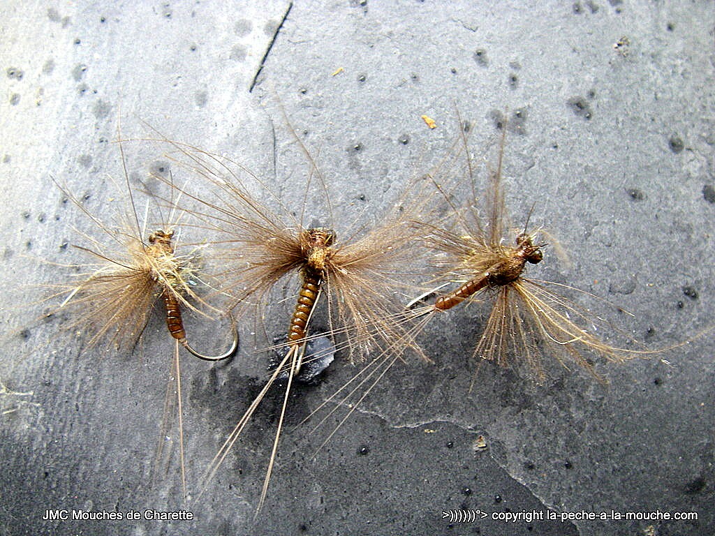 montage-march-brown-2015-008