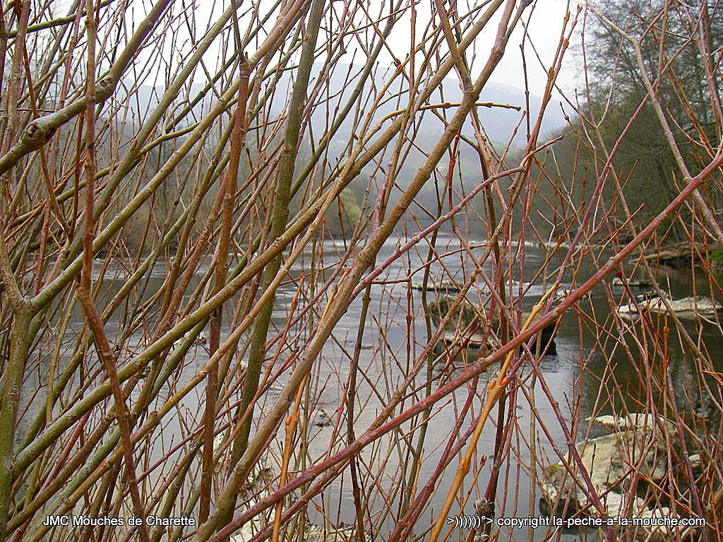 ouverture-de-la-peche-truite-012