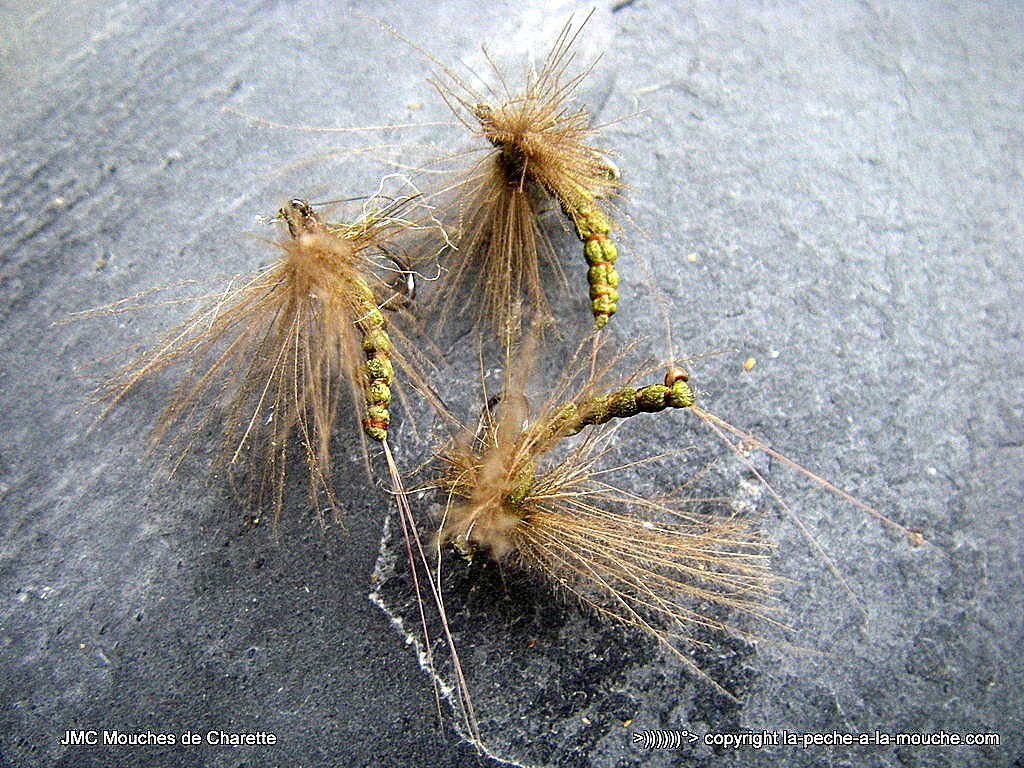 montage-ephemere-olive-corps-detache-002