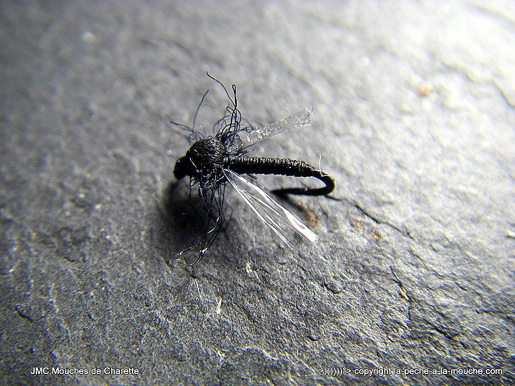 montage-midge-2015-1