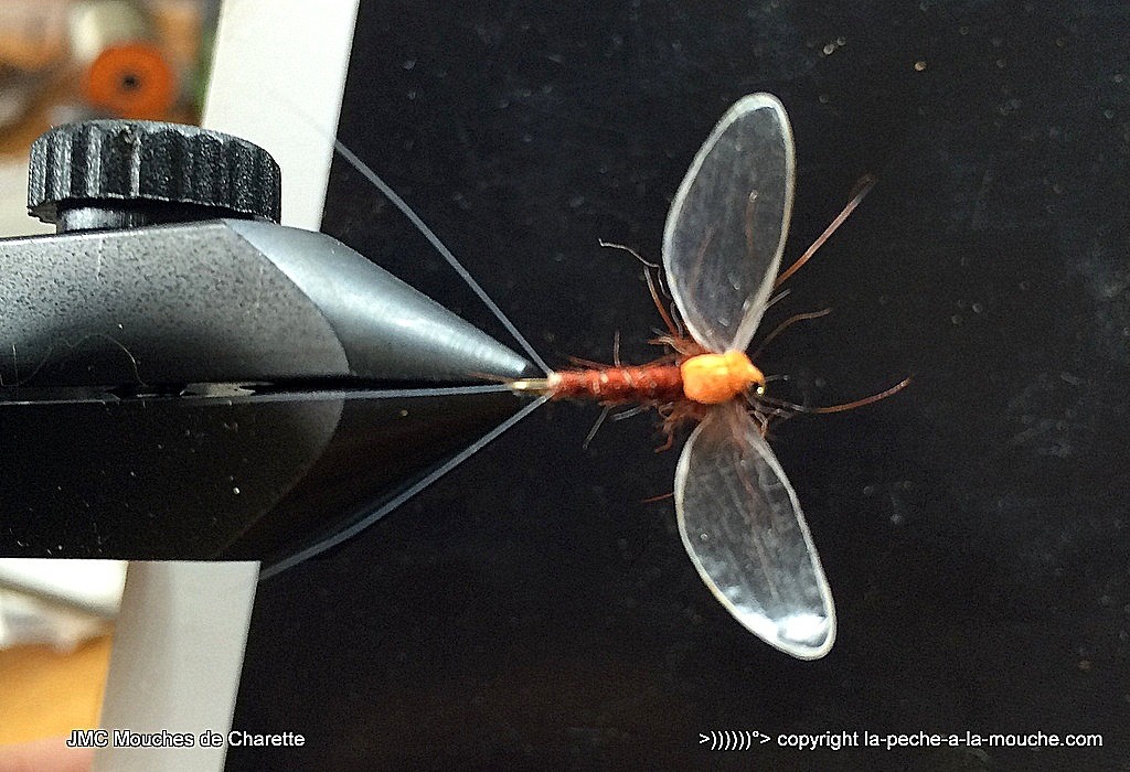 montage-mouche-spent-ephemere-roux-1