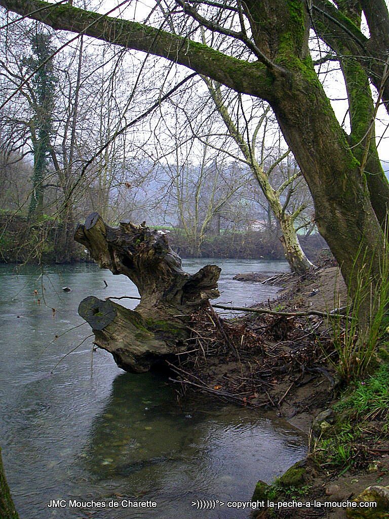 scene-nature-nivelle-19mars2016
