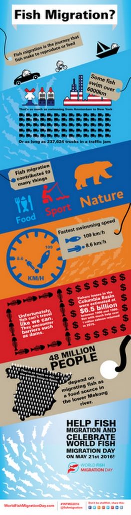 world-fish-migration-day-infographic
