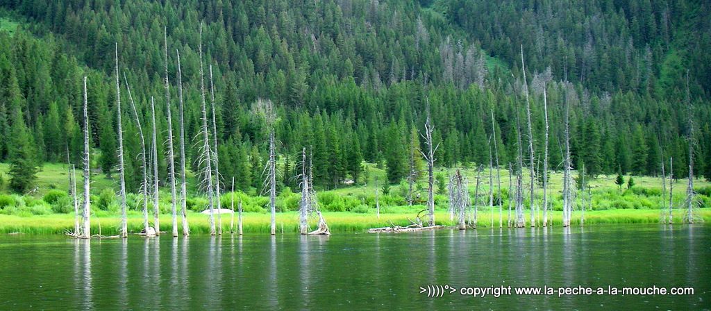photo panorama du lac earthquake lake dans le Montana sur la Madison river.