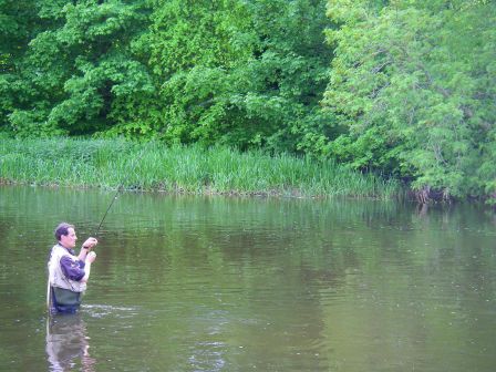 Comme préparer le ver sur la pêche