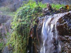La vallée du Baztan au Pays Basque - hiver