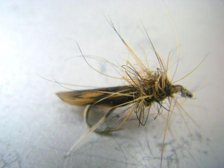 Montage mouche sedge