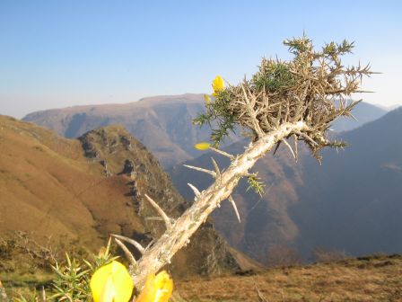 sur l'Artzamendi au dessus du Baztan - vue sur les crêtes d'Iparla au Pays Basque