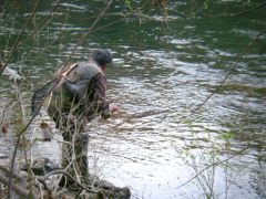fred-pecheur-a-la-mouche-aux-aguets