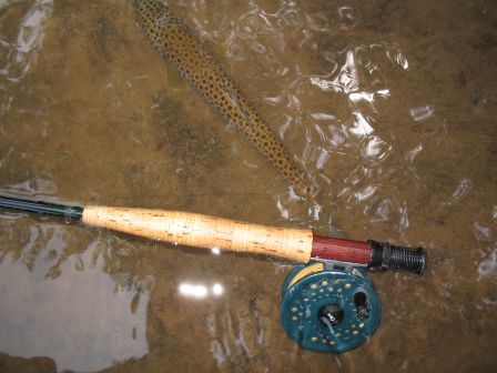 truite de la Nive peche a la mouche sous les orages mai 2007