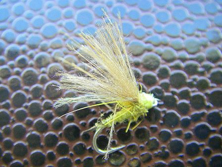 mouche de peche - emergente ephemere cul de canard