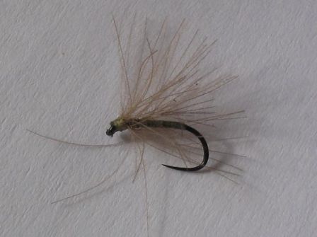 mouche de pĂȘche Ă lamouche cdc