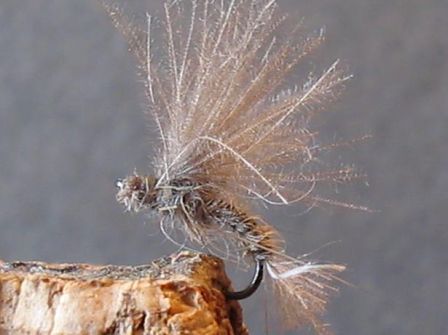 mouche de pêche à la mouche ANTCHOLA