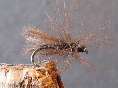 mouche de pĂȘche Ă la mouche diptĂšre chuchurria