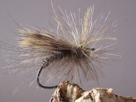 mouche_peche_sedge_1.jpg