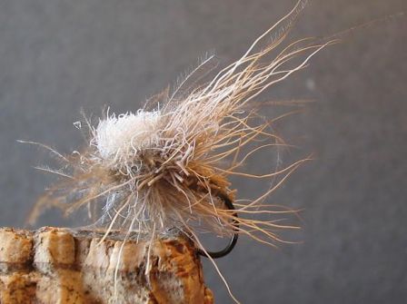 mouche de pĂȘche Ă la mouche sedge Toutoulia
