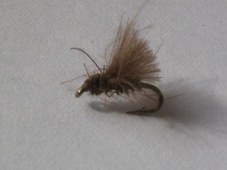 mouche de pĂȘche Ă la mouche sedge AINTZAGA