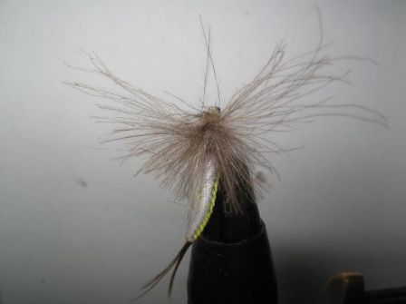 mouche de peche a la mouche "ma tissée"