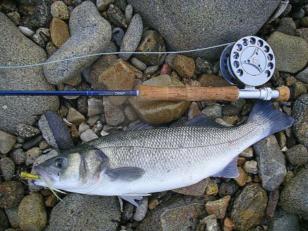 Yann peche, blog sur la pêche des carnassiers en Lorraine