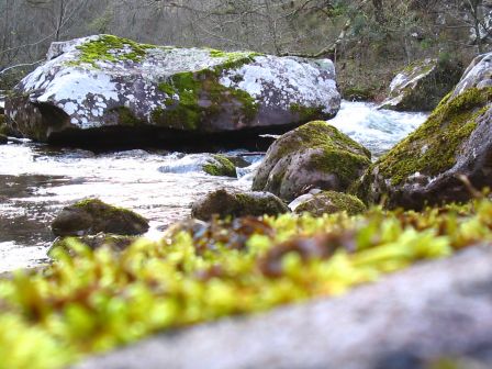 peche a la mouche 31 mars 2007 baztan pays basque