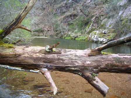 peche a la mouche sur le baztan au pays basque