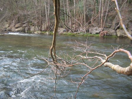 peche a la mouche sur la nive de baigorry au Pays Basque