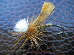 photo de mouche de peche sedge cul de becasse parachute