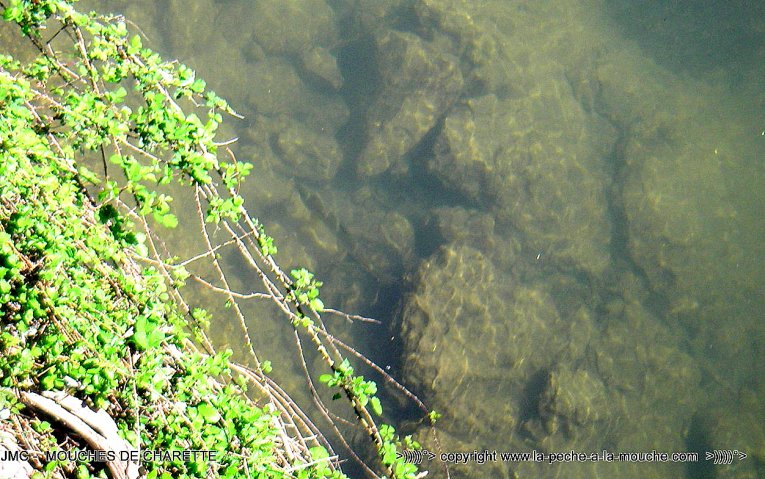 truite-peche-a-la-mouche-06avril2014-1.jpg, avr. 2014 truite-peche-a-la-mouche-06avril2014-1.jpg