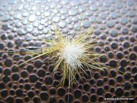 Photo de la mouche klinkoreille - fusion du klinkhammer et de l'oreille de lievre, juin 2010