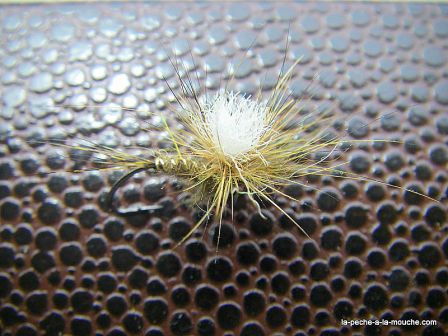 Photo de la mouche klinkoreille - fusion du klinkhammer et de l'oreille de lievre, juin 2010