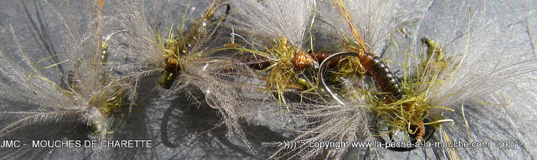 montage-mouche-ephemere-olive-mars2014-001.jpg, mar. 2014 montage-mouche-ephemere-olive-mars2014-001.jpg