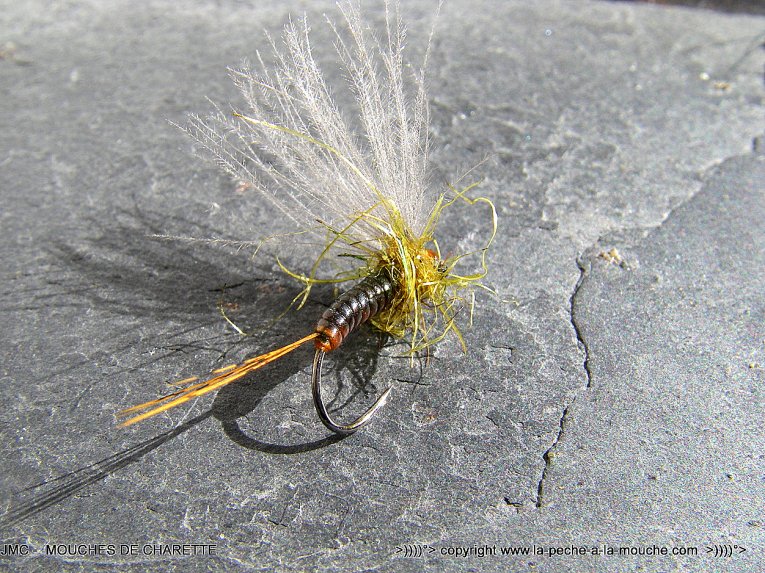 montage-mouche-ephemere-olive-mars2014-002.jpg, mar. 2014 montage-mouche-ephemere-olive-mars2014-002.jpg