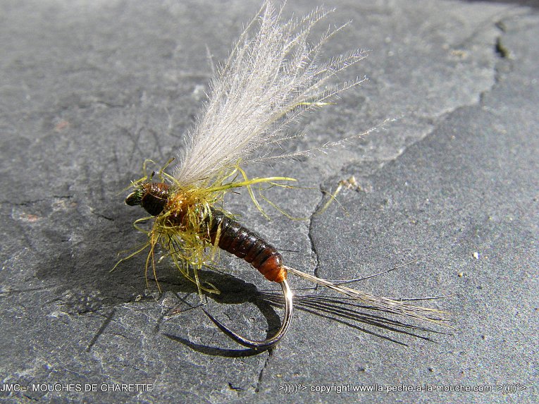 montage-mouche-ephemere-olive-mars2014-003.jpg, mar. 2014 montage-mouche-ephemere-olive-mars2014-003.jpg