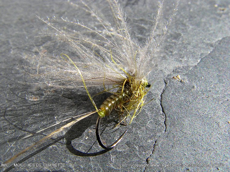 montage-mouche-ephemere-olive-mars2014-004.jpg, mar. 2014 montage-mouche-ephemere-olive-mars2014-004.jpg