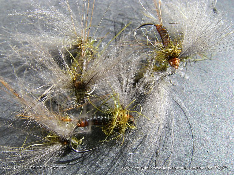 montage-mouche-ephemere-olive-mars2014-005.jpg, mar. 2014 montage-mouche-ephemere-olive-mars2014-005.jpg