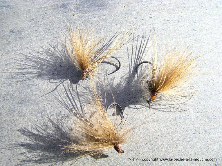 montage-mouche-march-brown-2013-1.jpg, mar. 2013 montage-mouche-march-brown-2013-1.jpg