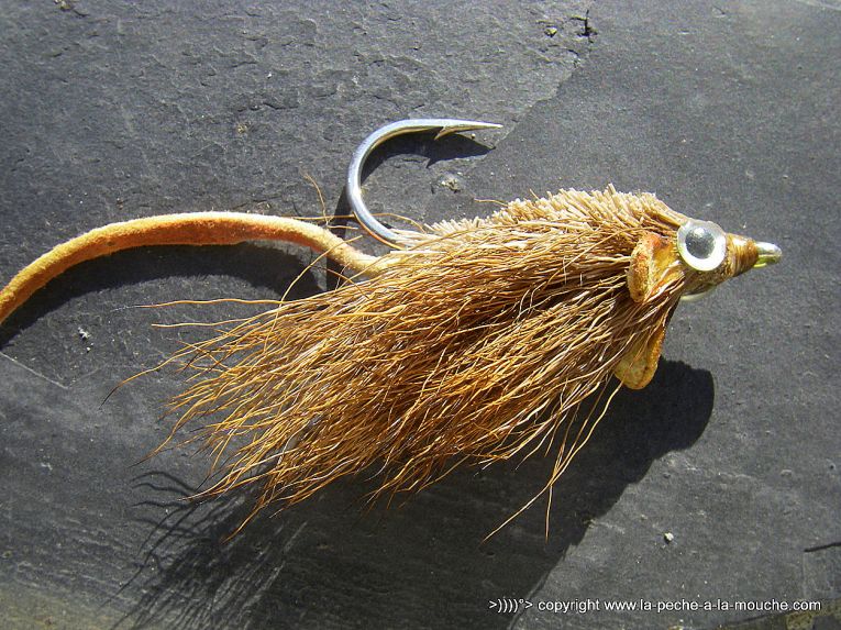 montage-mouche-souris-002.jpg, janv. 2013 montage-mouche-souris-002.jpg