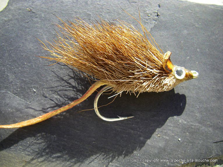 montage-mouche-souris-003.jpg, janv. 2013 montage-mouche-souris-003.jpg