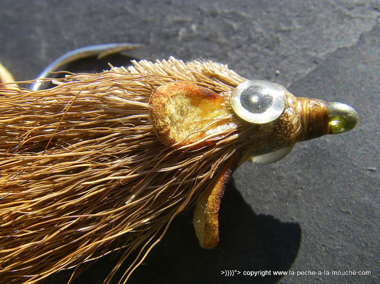 montage-mouche-souris-004.jpg, janv. 2013 montage-mouche-souris-004.jpg