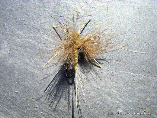 mouche-ephemere-march-brown-rubber-legs-1.jpg, mar. 2012 mouche-ephemere-march-brown-rubber-legs-1.jpg