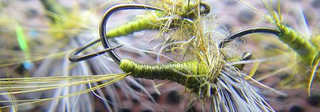 photo montage comparadun olive bwo photo montage comparadun olive bwo