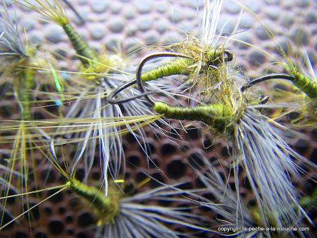 photo-montage-comparadun-olive-bwo-2.jpg, fév. 2012 photo-montage-comparadun-olive-bwo-2.jpg