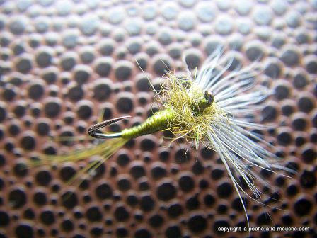 photo-montage-comparadun-olive-bwo-5.jpg, fév. 2012 photo-montage-comparadun-olive-bwo-5.jpg