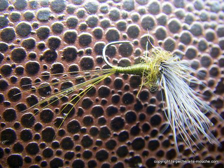 photo-montage-comparadun-olive-bwo-7.jpg, fév. 2012 photo-montage-comparadun-olive-bwo-7.jpg