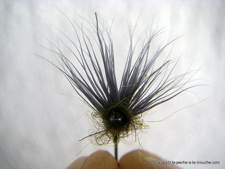 photo-montage-comparadun-olive-bwo-8.jpg, fév. 2012 photo-montage-comparadun-olive-bwo-8.jpg