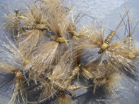 photo-montage-mouche-artzamendi-ephemere-cdc-2012-1.jpg, mar. 2012 photo-montage-mouche-artzamendi-ephemere-cdc-2012-1.jpg