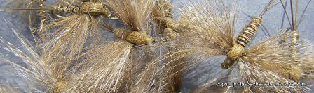 photo-montage-mouche-artzamendi-ephemere-cdc-2012-2.jpg, mar. 2012 photo-montage-mouche-artzamendi-ephemere-cdc-2012-2.jpg